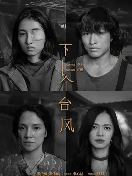 下一个台风简介封面图